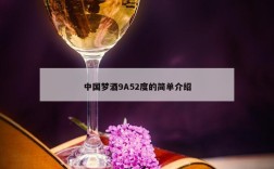 中国梦酒9A52度的简单介绍